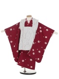 NAP3615000