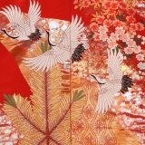NAI0004_2