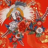 NAI0006_2