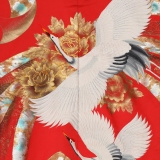 NAI0009_2
