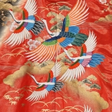 NAI0010_2