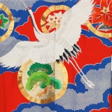 NAI0011_2