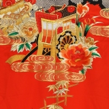 NAI0018_2
