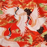 NAI0022_2