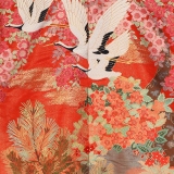 NAI0030_2